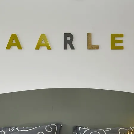 Διαμέρισμα Spaarne Loft *