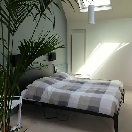 Διαμέρισμα Spaarne Loft Χάαρλεμ